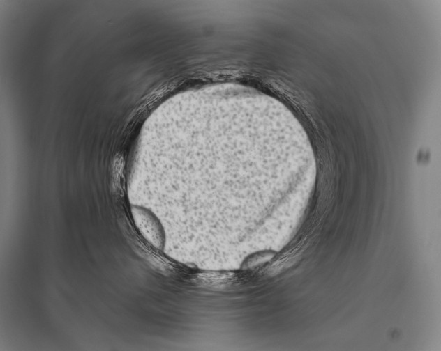 X0000094820480200712141649