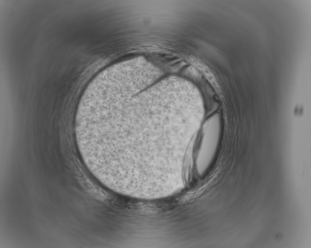 X0000094820481200712141648