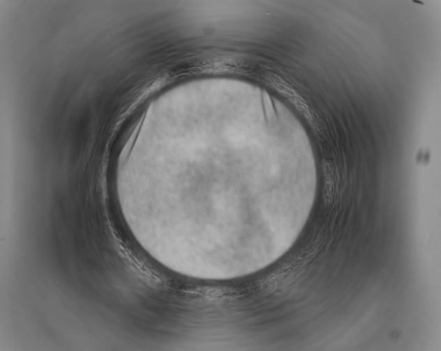 X0000094820482200712141648