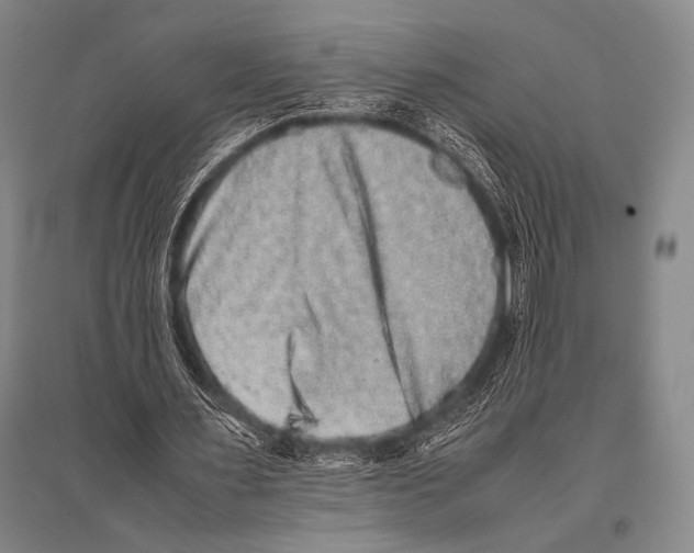 X0000094820483200712141648