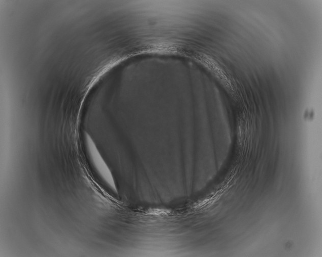 X0000094820484200712141648