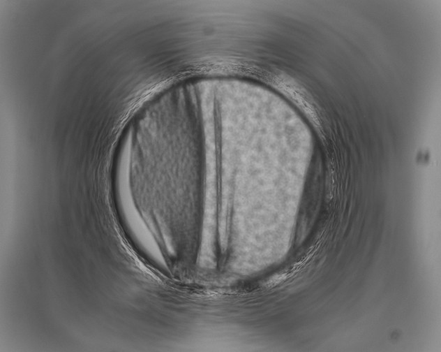 X0000094820485200712141648