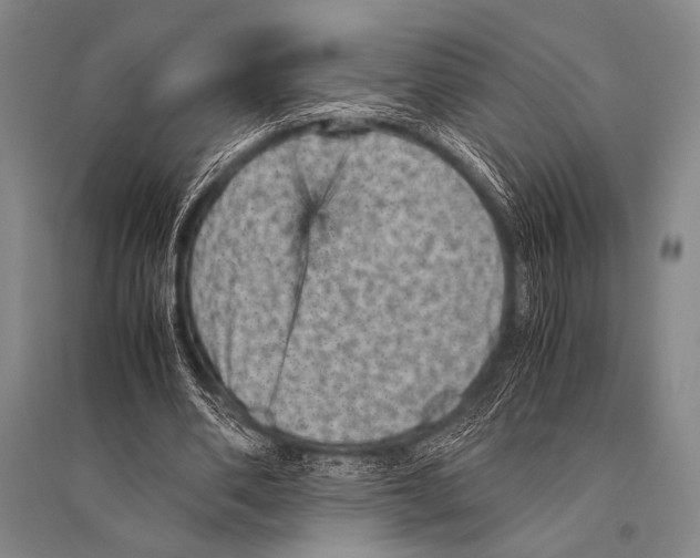 X0000094820486200712141648