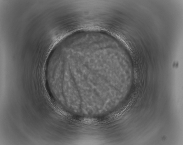 X0000094820487200712141648