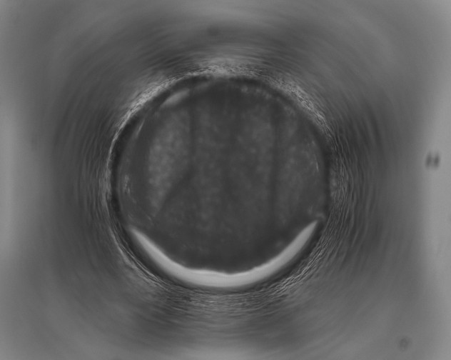 X0000094820488200712141648