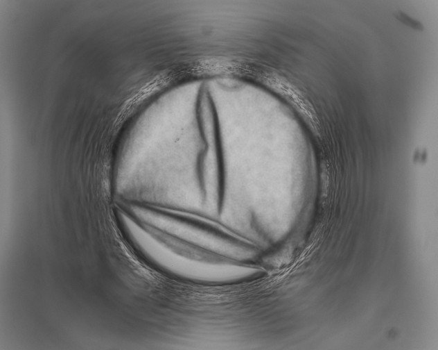 X0000094820489200712141648