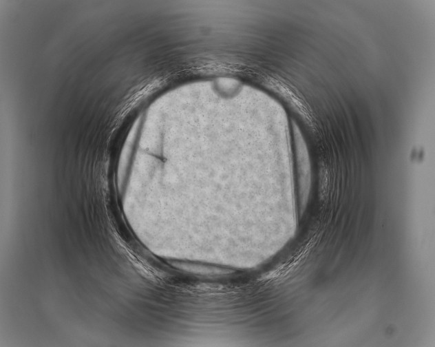 X0000094820490200712141648