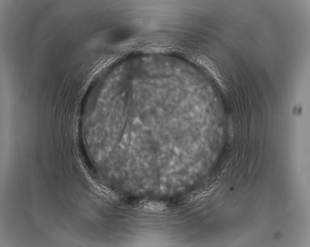 X0000094820491200712141648