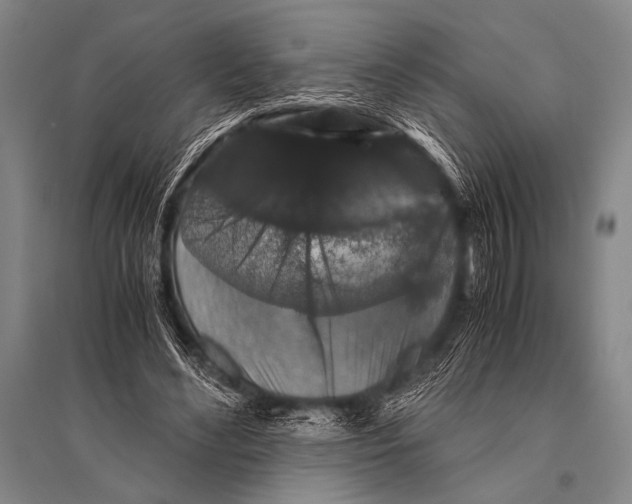 X0000094820492200712141648