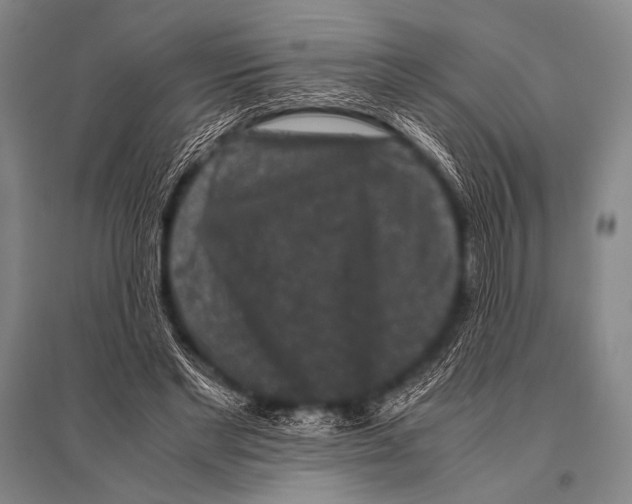 X0000094820493200712141648