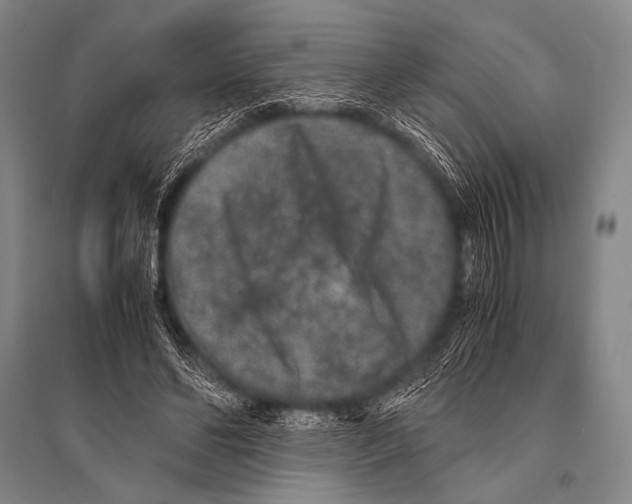 X0000094820494200712141648