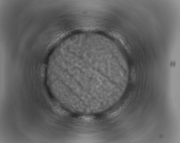 X0000094820495200712141648