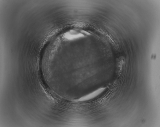 X0000094820496200712141648