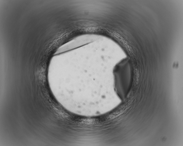 X0000094820497200712141648