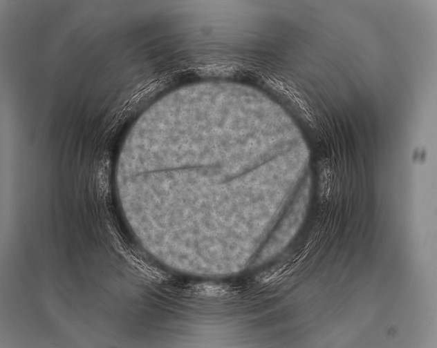 X0000094820498200712141648