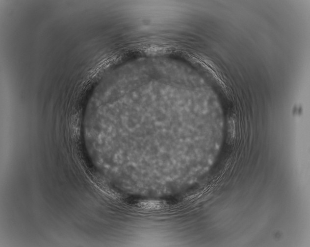 X0000094820499200712141648