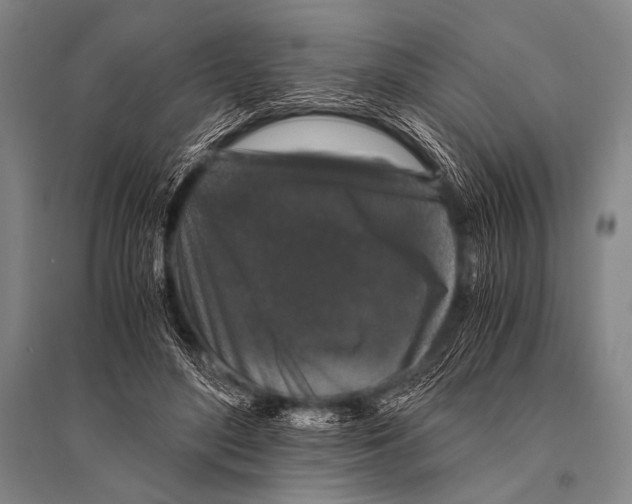 X0000094820500200712141648