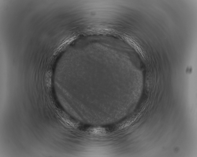 X0000094820501200712141648