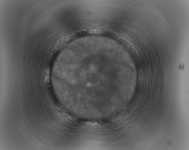 X0000094820502200712141648