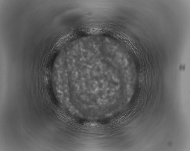 X0000094820503200712141648