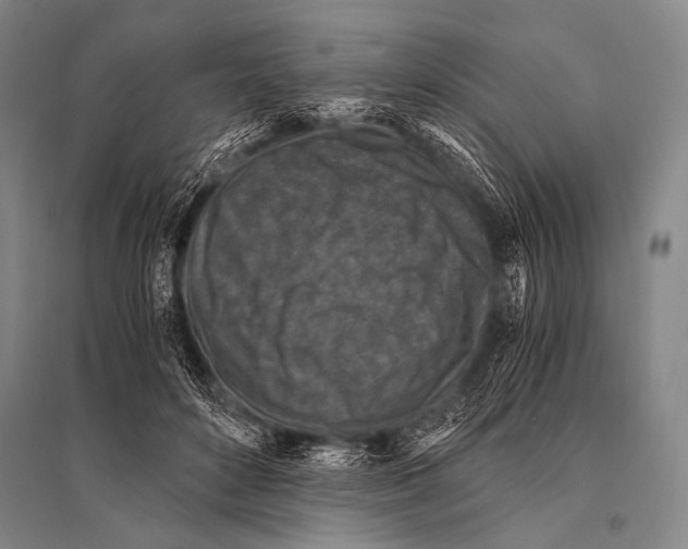 X0000094820504200712141648