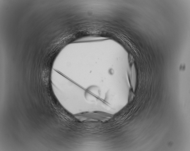 X0000094820505200712141648