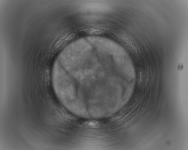 X0000094820506200712141648