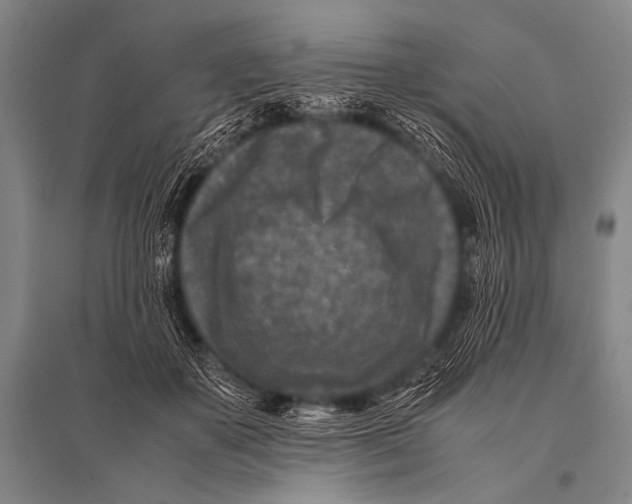 X0000094820507200712141648