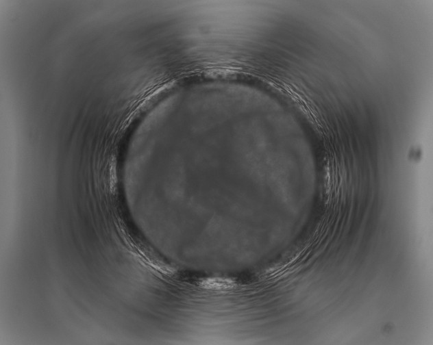 X0000094820508200712141648