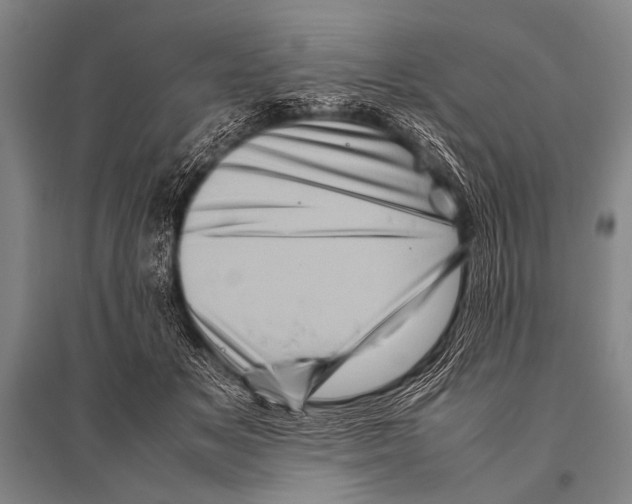 X0000094820509200712141648