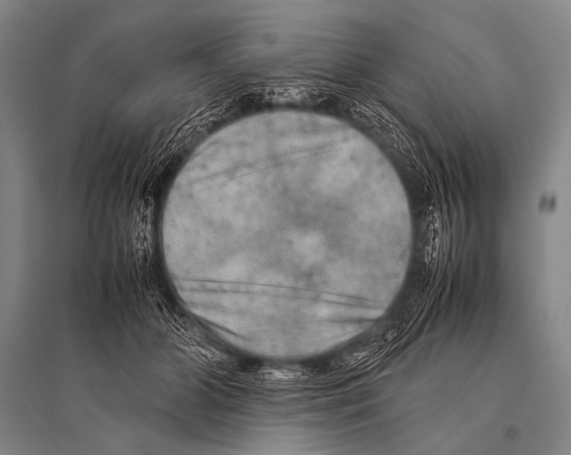 X0000094820510200712141648