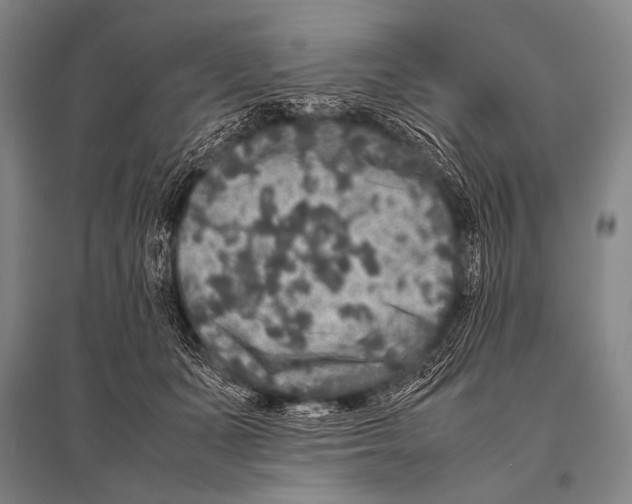 X0000094820511200712141648