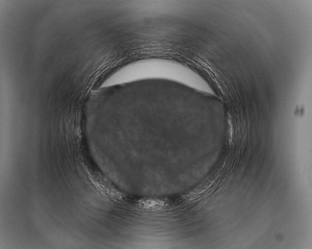 X0000094820512200712141648