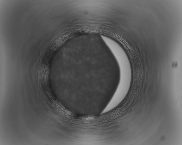 X0000094820513200712141648