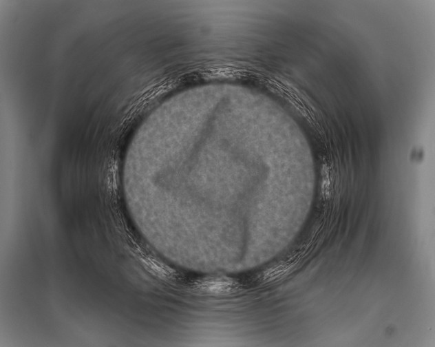 X0000094820514200712141648