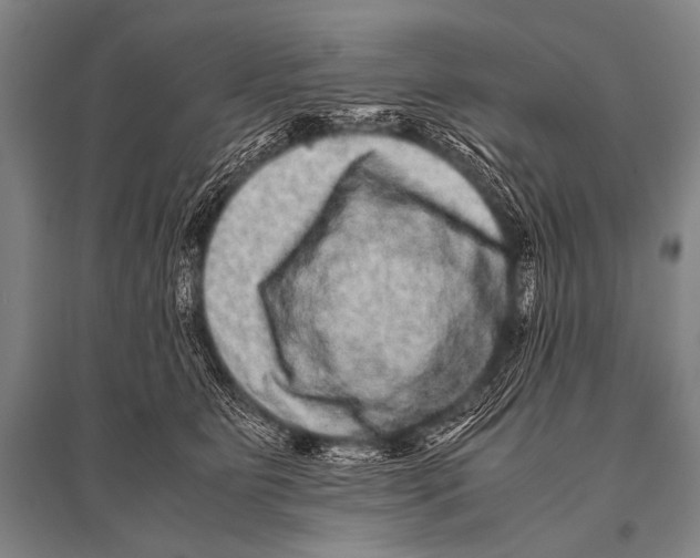 X0000094820515200712141648