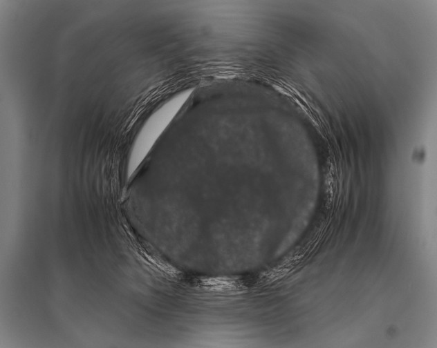 X0000094820516200712141648