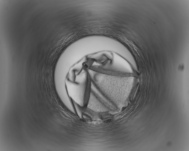 X0000094820517200712141648