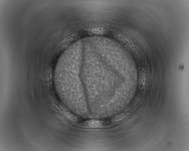 X0000094820518200712141648