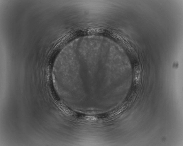 X0000094820519200712141648