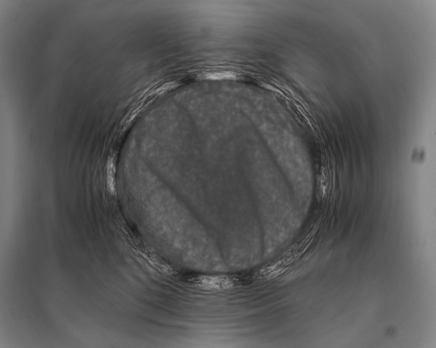 X0000094820520200712141648