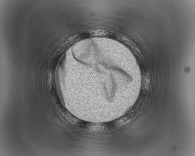 X0000094820521200712141648