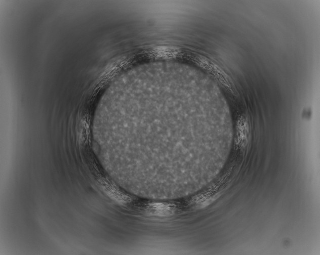 X0000094820522200712141648