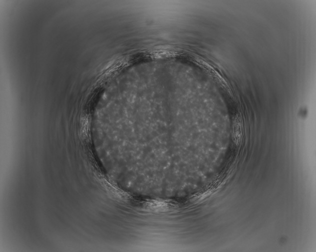 X0000094820523200712141648