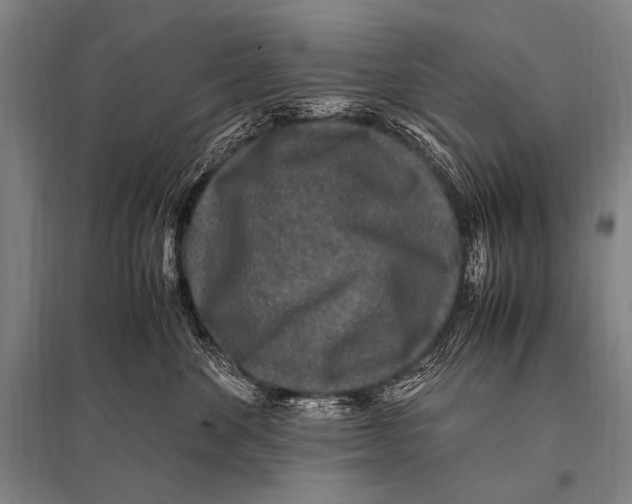 X0000094820524200712141648