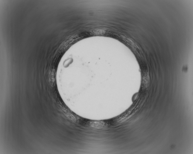 X0000094820525200712141648