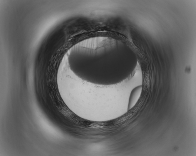 X0000094820526200712141647