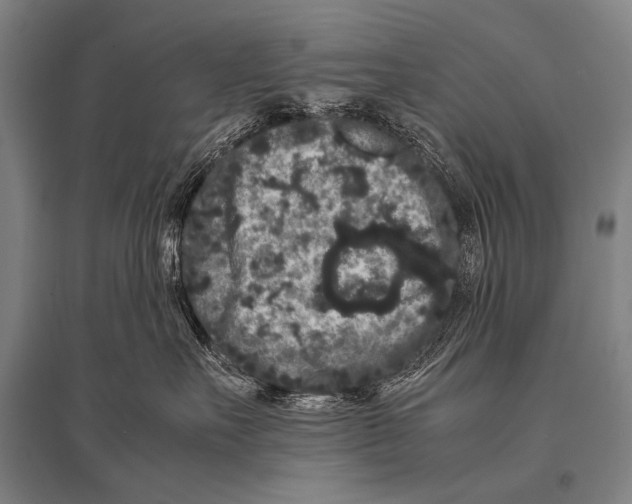 X0000094820527200712141647