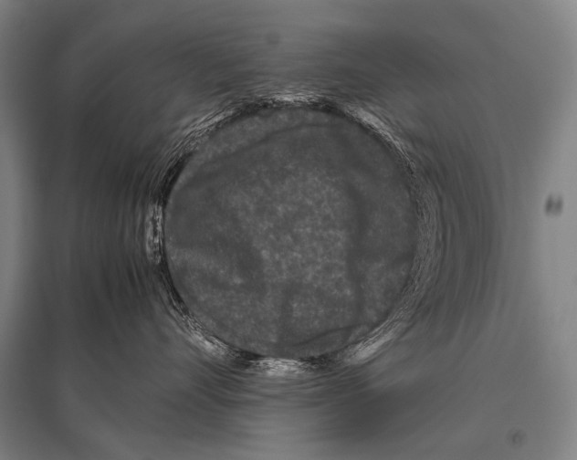 X0000094820528200712141647