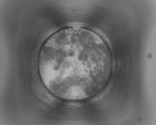 X0000094820529200712141647